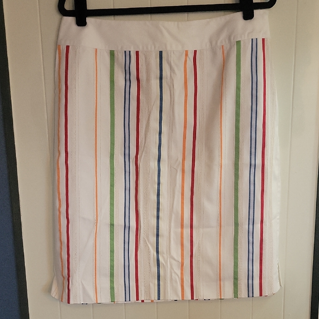 Striped Multicolor Women's Skirt